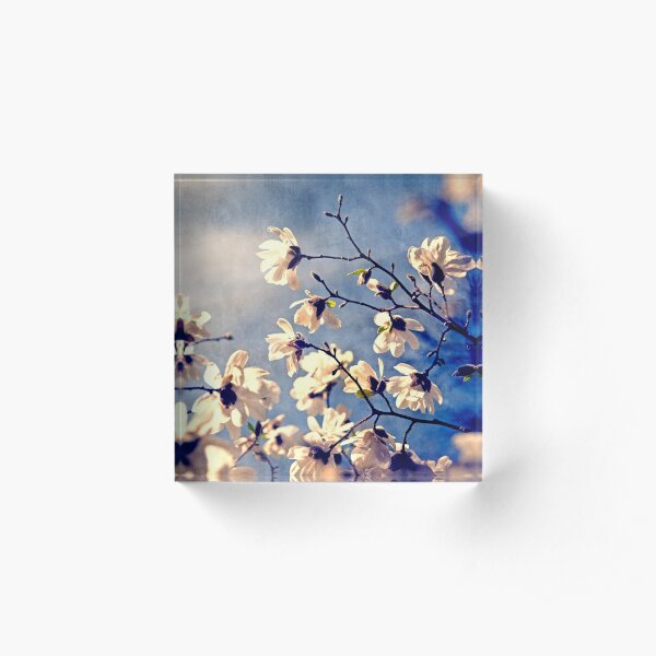 To The Sky Acrylic Block