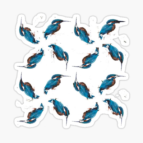 Kingfisher Pattern Sticker