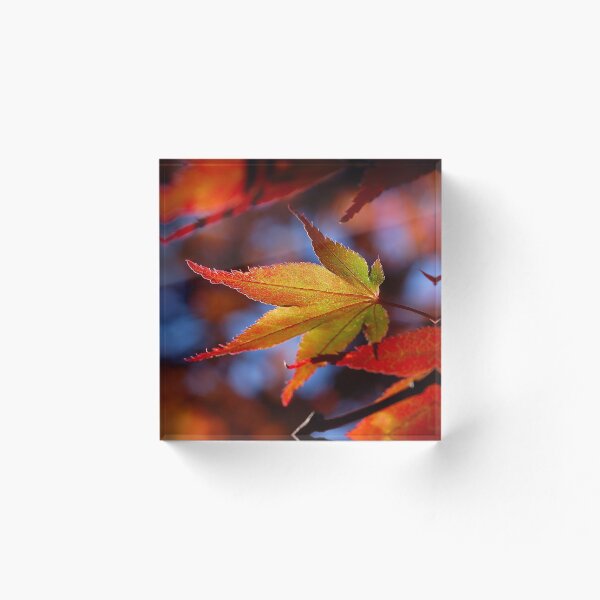 Item preview, Sometimes Mother Nature likes to show off designed and sold by Denise Couturier.