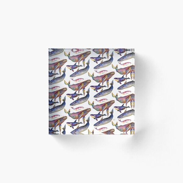 Whale Quartet Acrylic Block