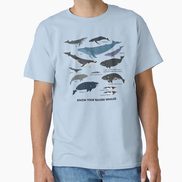 Item preview, Know Your Baleen Whales designed and sold by Peppermint Narwhal.
