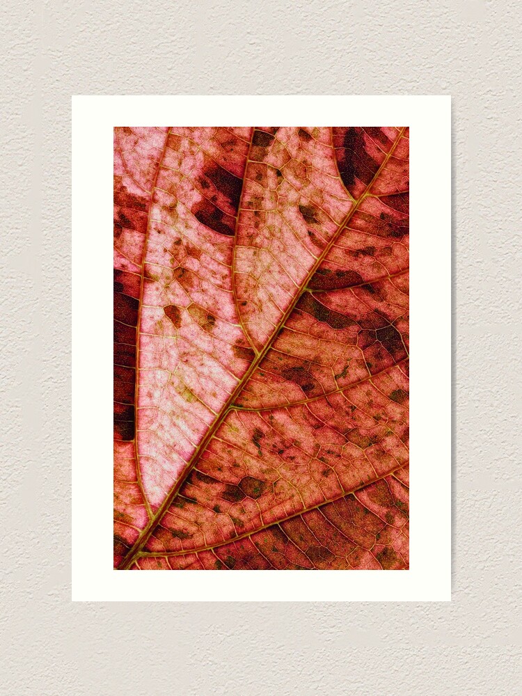Alternate view of Leaf structure red Art Print