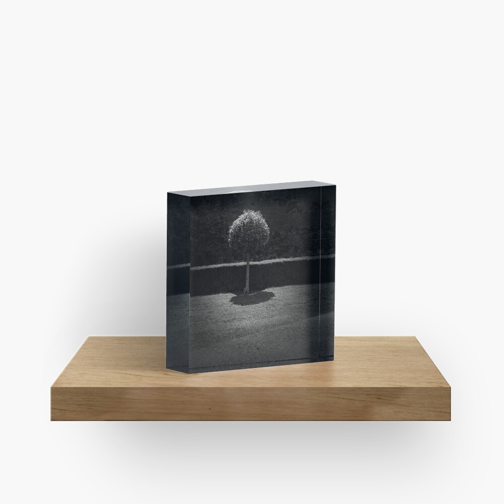 Item preview, Acrylic Block designed and sold by kalua.