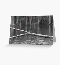 1st Kingfisher ~ Selective Colourisation ~ Greeting Card