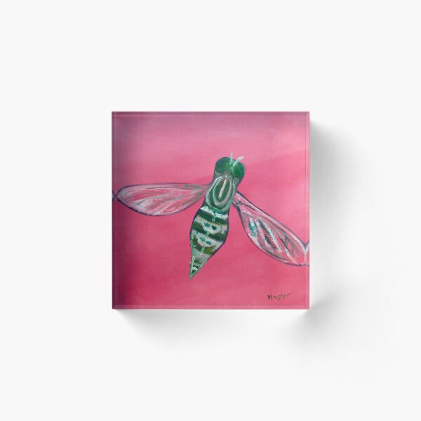 Fly North Acrylic Block