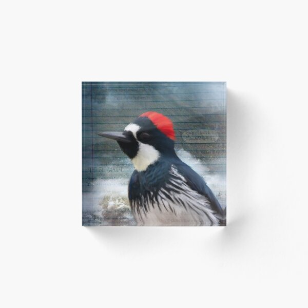 Item preview, Bird Notes: Surf With Awareness designed and sold by Aaron LeMay.