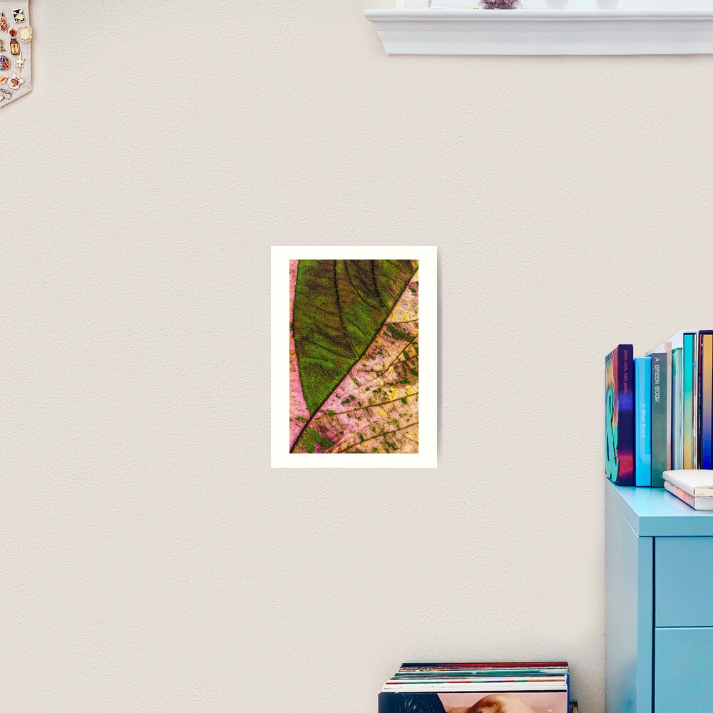 Multi color Leaf structure Art Print