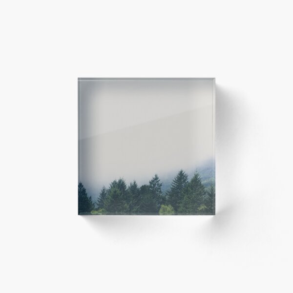 muir woods | mill valley, california Acrylic Block