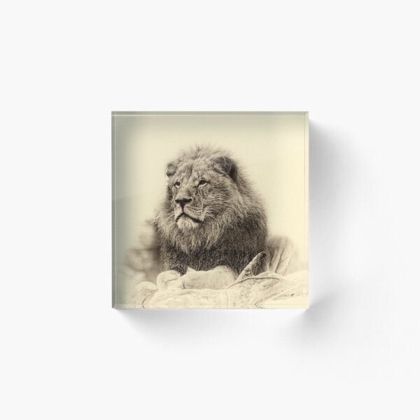 Lion Acrylic Block