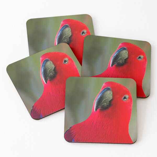 Item preview, Female Electus Parrot - Close up designed and sold by Sandra Chung.