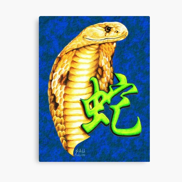 Year of the Snake Canvas Print