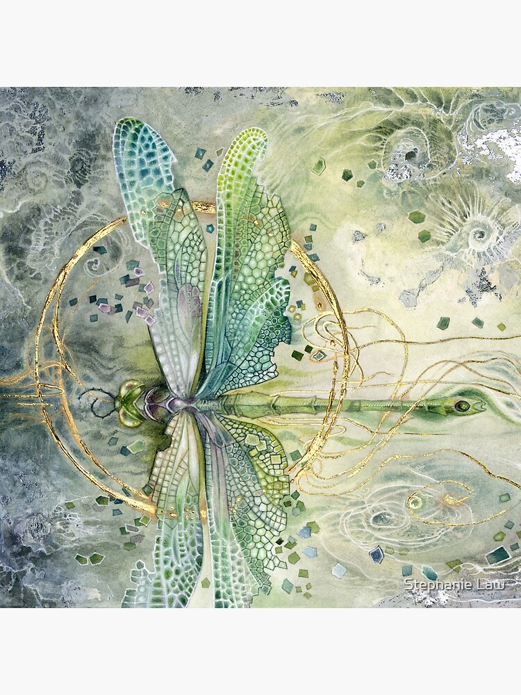 Beautiful Enchanted Dragonfly by stephlaw