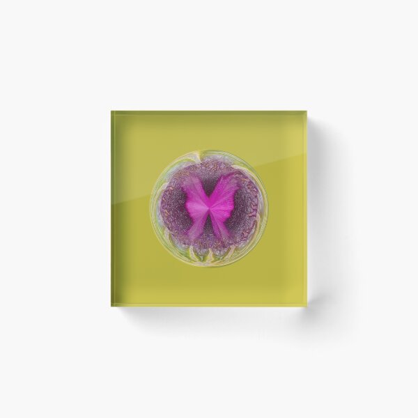 Item preview, Birth of a poppy designed and sold by Robert Gipson.