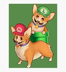 Plumber Pups Photographic Print
