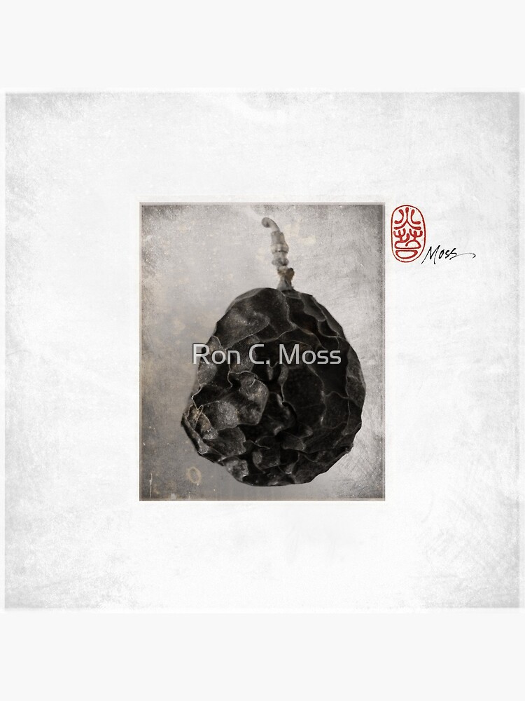 P a s s i o n by ronmoss