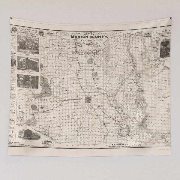 Item preview, Map of Marion County, Florida (1892) designed and sold by allhistory.
