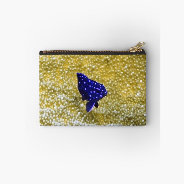 Item preview, Juvenile Yellowtail Damselfish designed and sold by Amy McDaniel.