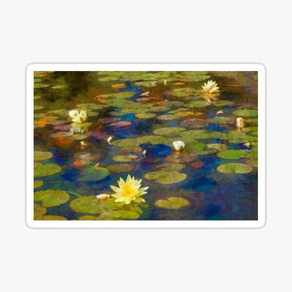 Sunny Lily Pond Sticker