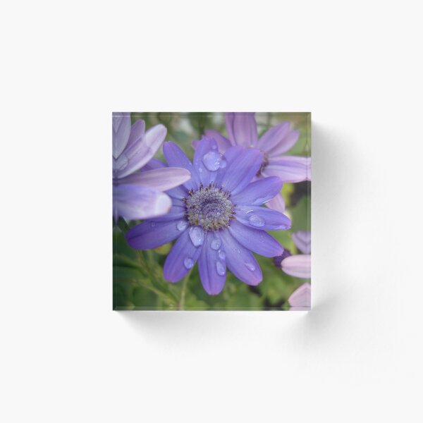 Blue Again Acrylic Block