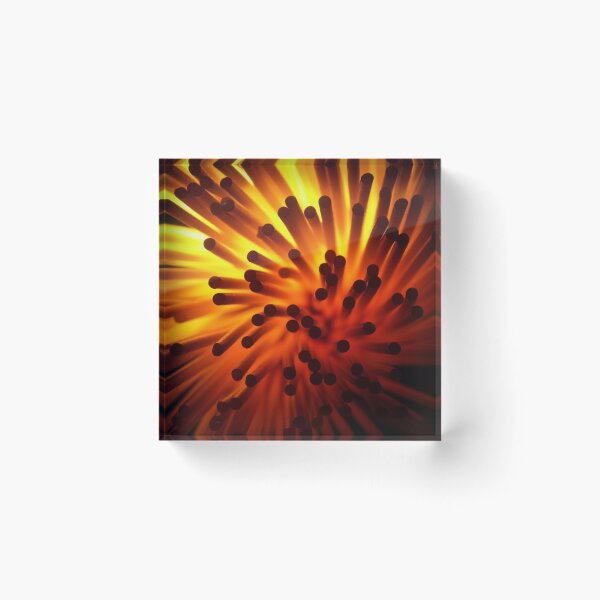 Item preview, Spaghetti Optics designed and sold by AJM Photography.