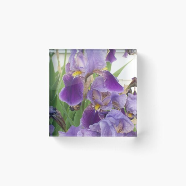 Item preview, Purple Iris designed and sold by coribeth.