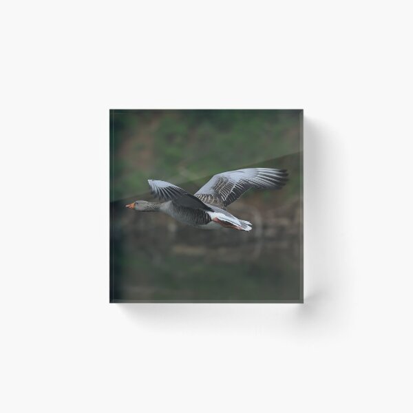 Item preview, Leaving on a Jet Plane designed and sold by Martin Crush.