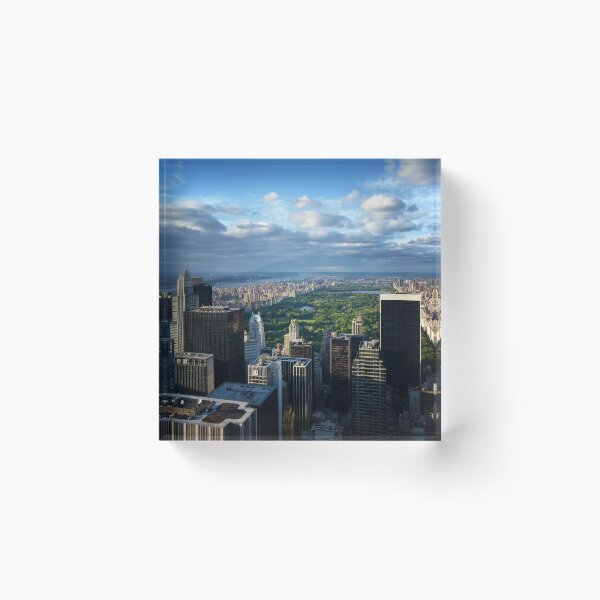 Item preview, NYC: Central Park designed and sold by Nina Papiorek.