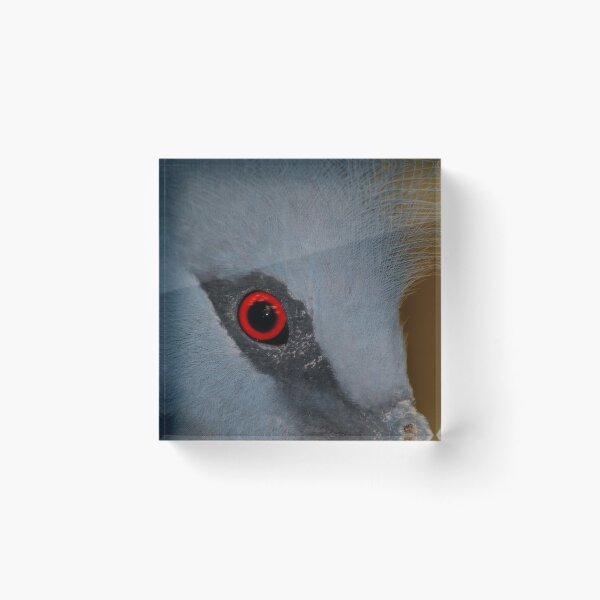 Item preview, Victoria Crowned Pigeon Eye designed and sold by SerenaB.