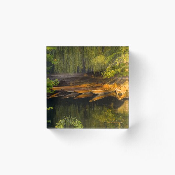 Lying in Wait, Tübingen, Germany Acrylic Block