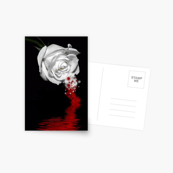 Bleeding Rose Postcard