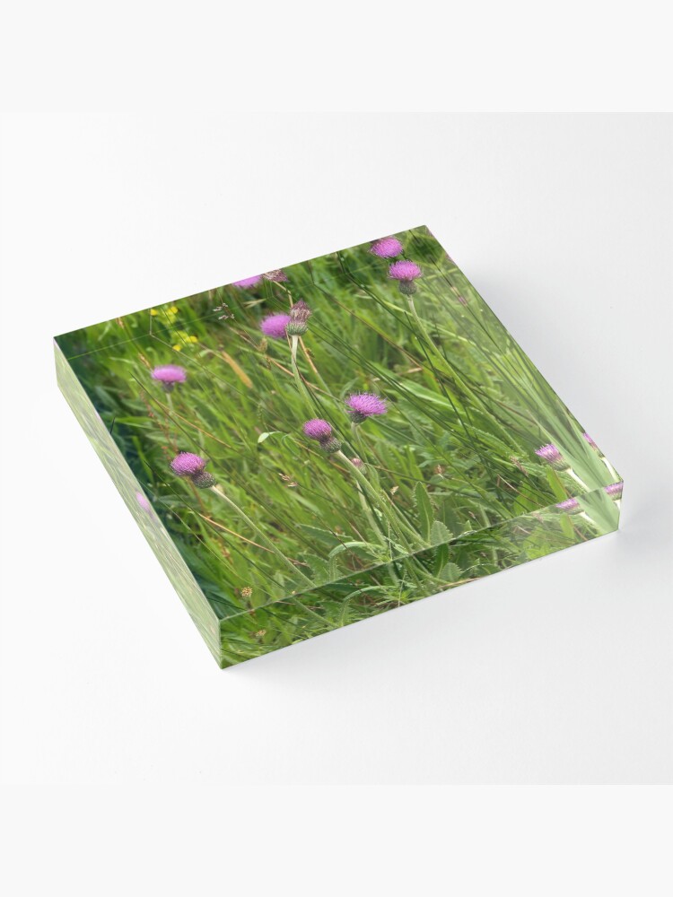 Thumbnail 3 of 5, Acrylic Block, Grassland with Meadow Thistle designed and sold by steppeland.