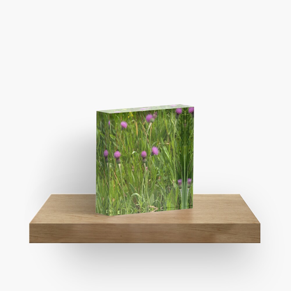 Item preview, Acrylic Block designed and sold by steppeland.