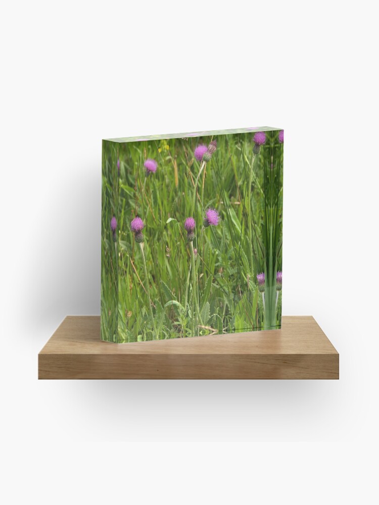 Thumbnail 1 of 5, Acrylic Block, Grassland with Meadow Thistle designed and sold by steppeland.