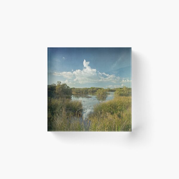 Aperçu de l'œuvre sea flood ponds créée et vendue par paulgrand.