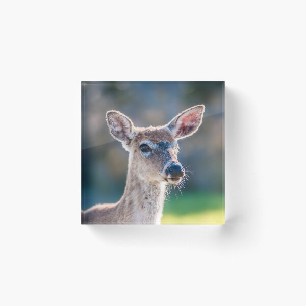 Item preview, bambi designed and sold by ALEX GRICHENKO.