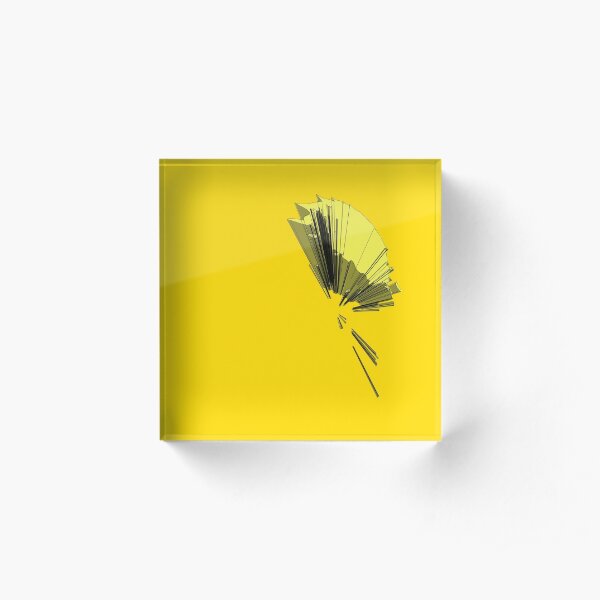 Transient Assemblies Can Only Guess That Things are OK Acrylic Block
