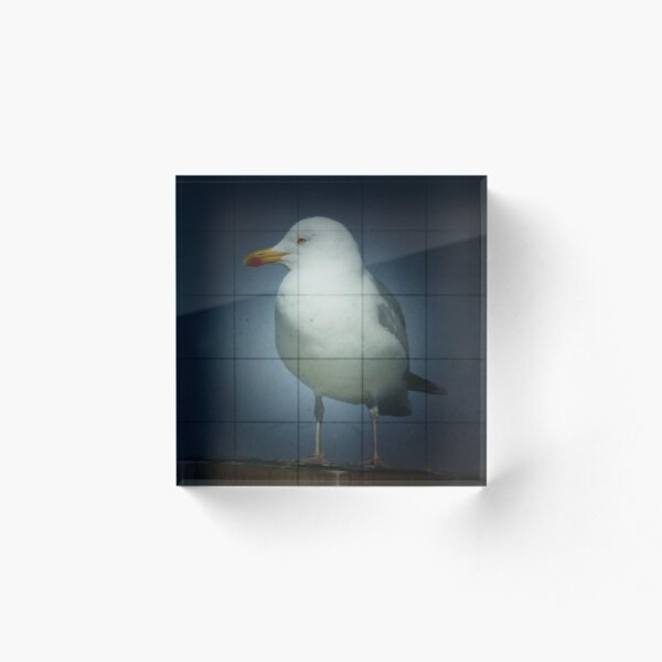 Item preview, seagull designed and sold by codswollop.