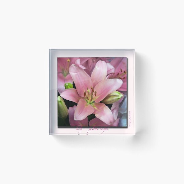 Item preview, Lily - palette knifed designed and sold by Odille Esmonde-Morgan.