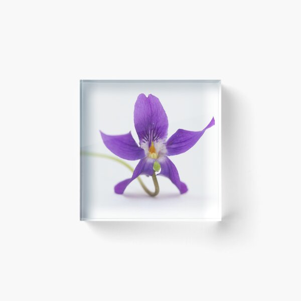 Item preview, violet designed and sold by Carine LUTT.