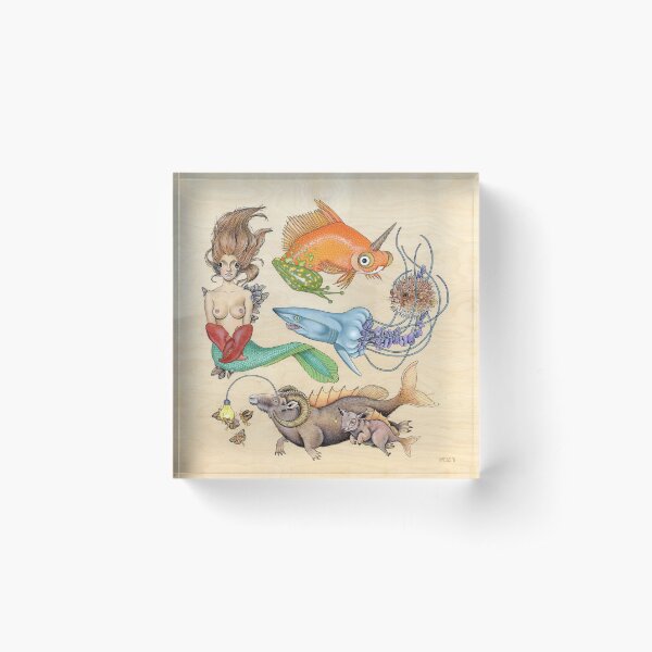 Here Fishy Fishy Fishy (Print) Acrylic Block