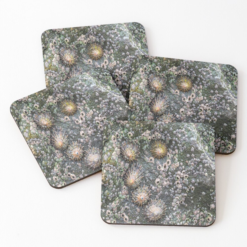 Item preview, Coasters (Set of 4) designed and sold by Cameranick.