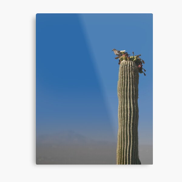 Bird's eye view Metal Print
