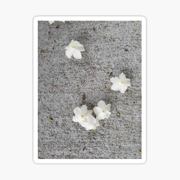Item preview, Scattered White Flowers designed and sold by Jeanne Kramer-Smyth.