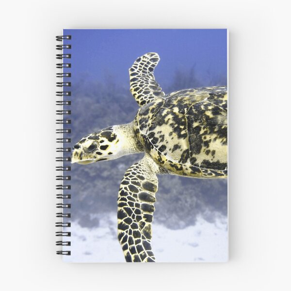 Item preview, Hawksbill Sea Turtle designed and sold by Amy McDaniel.