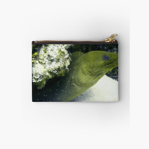 Item preview, Green Moray Eel designed and sold by Amy McDaniel.