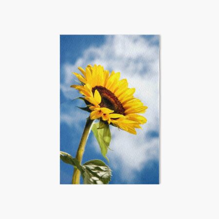 Sunny Art Board Print