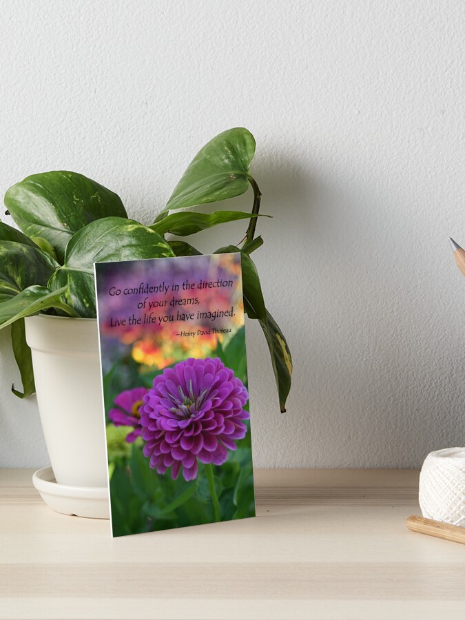 Impression Rigide Fleur Violette Coloree De Zinnia Avec La Citation De Henry David Thoreau Par Photocrazy6 Redbubble