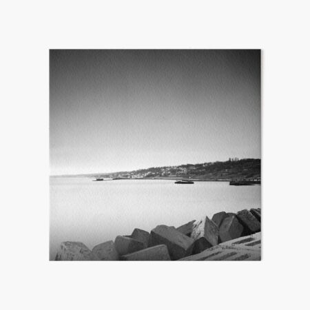 coast lands Art Board Print