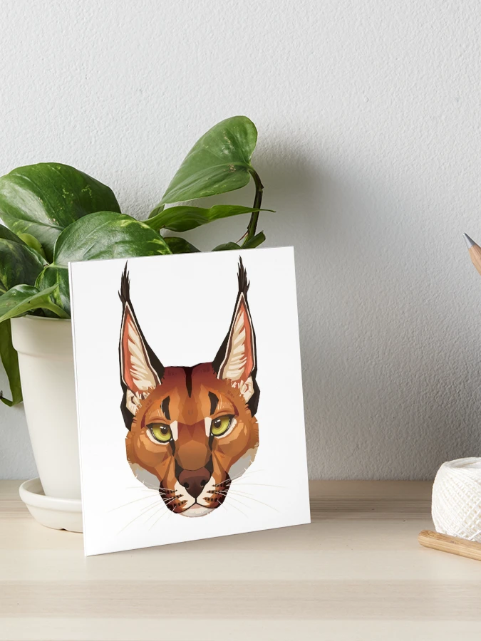 Caracal Art Prints Collection