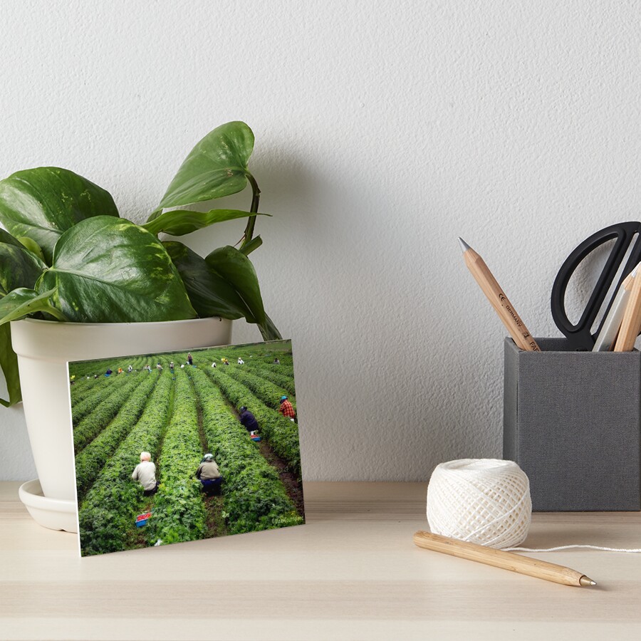 Item preview, Art Board Print designed and sold by MaluC.